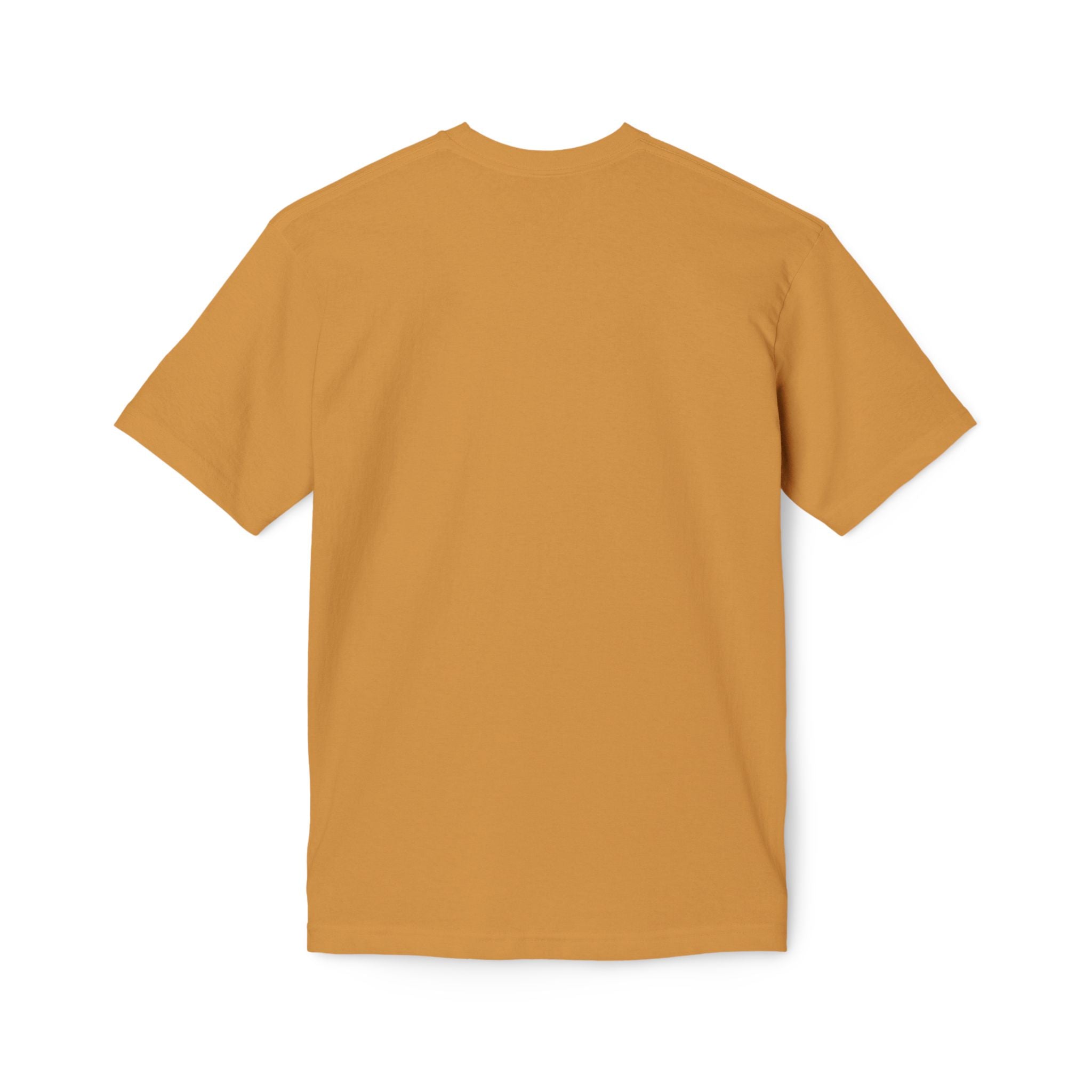 250th Anniversary Commemorative T-Shirt – Historic U.S. Celebration Design